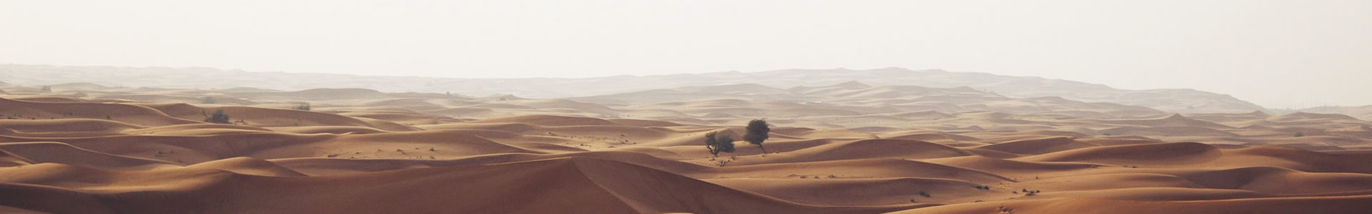 ݻ޹˾